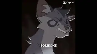 ❤️jayfeather❤️/ #fiction #book #fantasy #character #warriorcats #cats #edit #love
