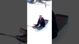 Sledge Ride in Gulmarg 🛷🤍 #babygirl #snow #sledge #ride #gulmarg #kashmir #trendingshorts #viral