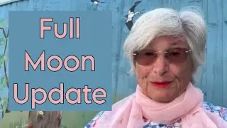 Full Moon Information Apology