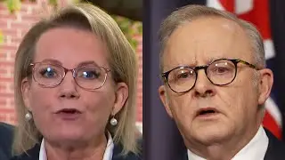 &lsquo;Awful Labor government&rsquo;: Sussan Ley blasts Albanese for &lsquo;failing&rsquo; the economy