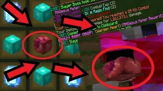 5th Warden Heart Drop (Hypixel Skyblock