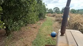 Simbora comigo enfileirar galhos