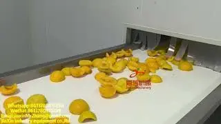 Peach steam peeling, cleaning and blanching,cooling and  quick freezing production line.