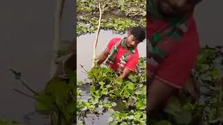Unique tata fishing method 💝 Best spearfishing moment 💝 New fishing method.