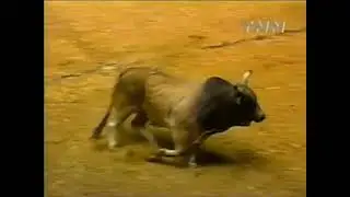 Mouse Trap bucks Leslie Doyle - 00 PBR Ft. Worth