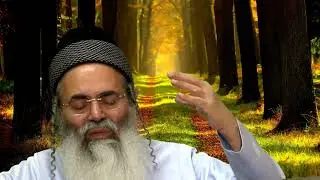 פרשת ויחי | האספו ואגידה לכם את אשר יקרא אתכם באחרית הימים • הרב אמנון יצחק שליט