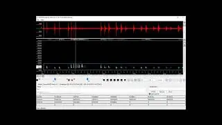 Bat Call from Ultrasonic Recording