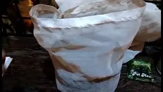 My Media Composition of Soilless Growing