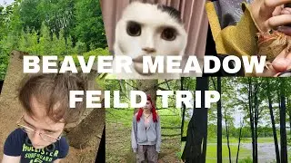 Beaver Meadow Feild Trip