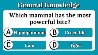 Animals Gk questions  | Trivia questions and answers | Ultimate general knowledge quiz