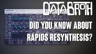 Exploring Rapid's resynthesis