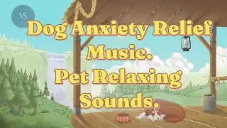 Dog Anxiety Relief Music, pet anti stress sounds. #petrelaxation #ambience #relaxingmusic