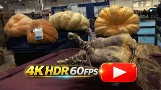 🌾 Royal Agricultural Winter Fair 2018 &ndash; Opening (4K)