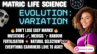 Life Science | Matric Exam Revision | Evolution - Variation (Grade 12 CAPS)