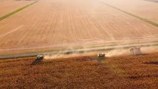 2x 🤍❤️💚CLAAS LEXION 8800tt in corn🌽 l Donau Farm Kalná nad Hronom l
