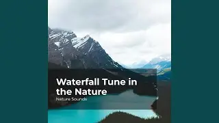 Continuous Waves
