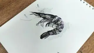 How To Paint A Shrimp In Watercolor | Easy Watercolor Painting