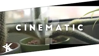 cinematic, was ist das? Review