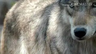 Ты не должен быть героем