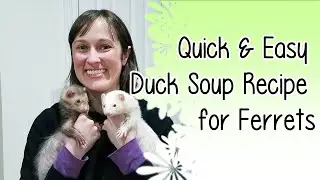 Homemade Duck Soup Recipe for Ferrets