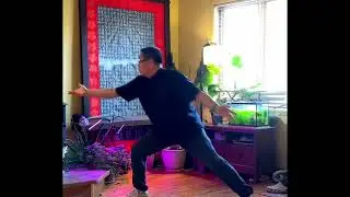 Lion Palm (3) of XingYi-BaGua Palm