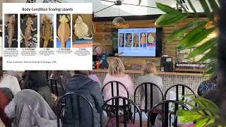 Most Common Health Issues in Reptiles with RVN Monika Nawrocka | Lecture Recordings from CPD Day