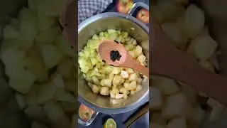 Apfelmus selber machen - einfaches Apfelmus Rezept mit frischen &Auml;pfeln #holidayswithshorts