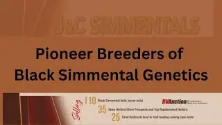 J & C Simmentals | January 27, 2024