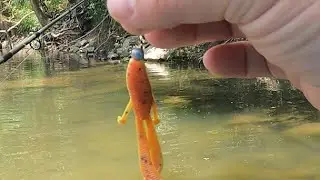 ultralight fishing with some sho me baits