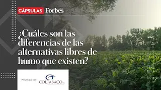 &iquest;Cu&aacute;les son las diferencias de las alternativas libres de humo que existen?