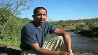 Denver Zoo's Grevy's Zebra Conservation Work