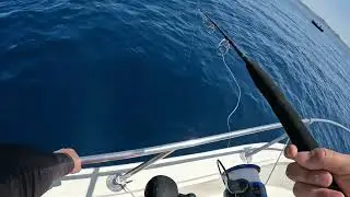 Tuna fishing at tangier，morocco