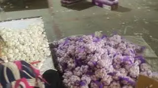 2019 China garlic packaging.