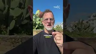 Александрия Окасио-Кортес &ndash; катастрофа в Мюнхене