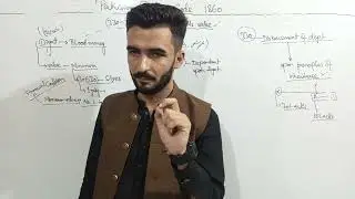 DIYAT AND ITS VALUE SECTION 330-331 PPC
