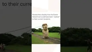 How the Easter Island Heads Walked #shorts