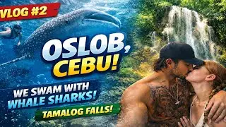 VLOG #2 - WE SWAM WITH WHALE SHARKS!