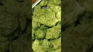 Budget Banger QUEEN Lucia THCA SMALL BUDS #thcasmallbuds