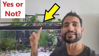 Действительно ли модный аквариумный светильник Seaoura Amazon хорош или это всего лишь реклама?