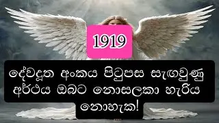 දේවදූත අංකය 1919: ඔබට ඇසිය යුතු බලවත් පණිවුඩය අගුළු හරින්න! | Angel Number 1919 - A Powerful Message