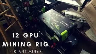 $10K+ Mining Setup (12 GEFORCE GTX 1070 Ti GPU Mining Rig + 10 Ant Miner Rack)