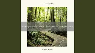The Frequency Noise And The Chord Of Power Nap For Effective Sleeping
