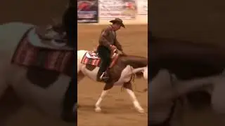 This horses markings are so unique! 🤎🩶 #Stallion #APHA #reining #beautiful #western