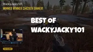 The best of WackyJacky101