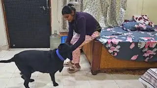 Jenny Tanu Ke SlipperKe Pichhe Pad Gai/ Vlog Video #pawsplanetbingo #dog #doglover
