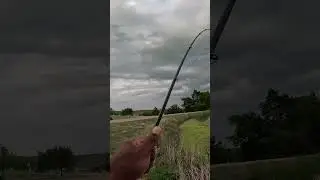 KVD Magic caffeine shad got bit in first cast!