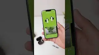 World&rsquo;s 1st earbuds with...