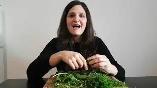 Receta Alemana de la 