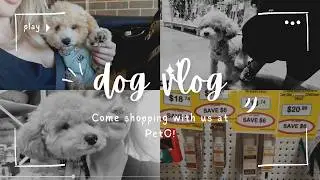 SHOPPING AT PETO | Pet Store Vlog | Puppy's First Visit to Petsore