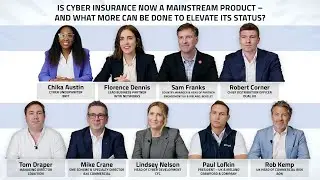 Is cyber insurance now a mainstream product - and what more can be done to elevate its status?